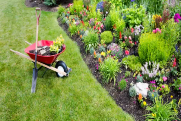 Work photo from MDA Services